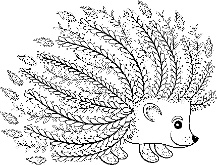  عکس جوجه تیغی واقعی