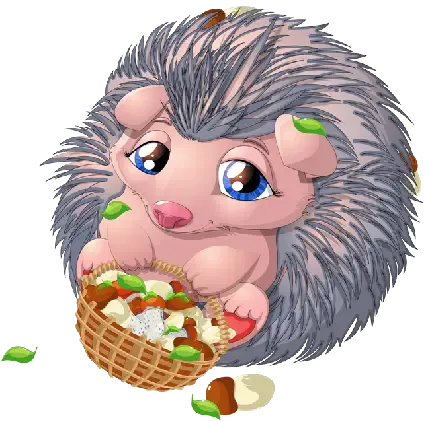  عکس جوجه تیغی بزرگ