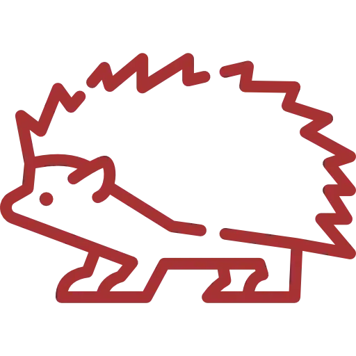  عکس جوجه تیغی کارتونی