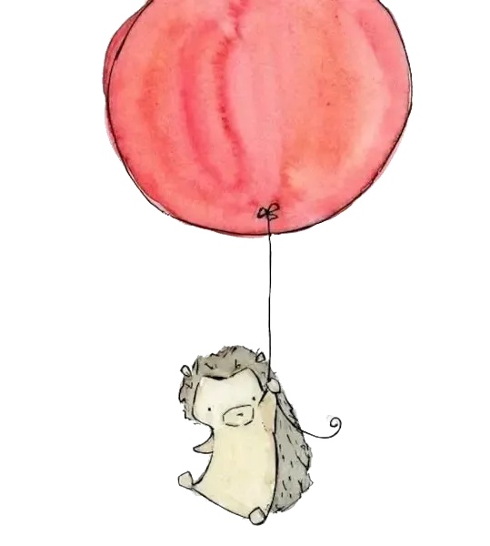  عکس جوجه تیغی کارتونی