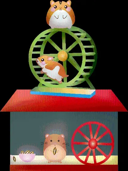 عکس همستر واقعی