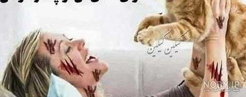 عکس حیوانات جالب