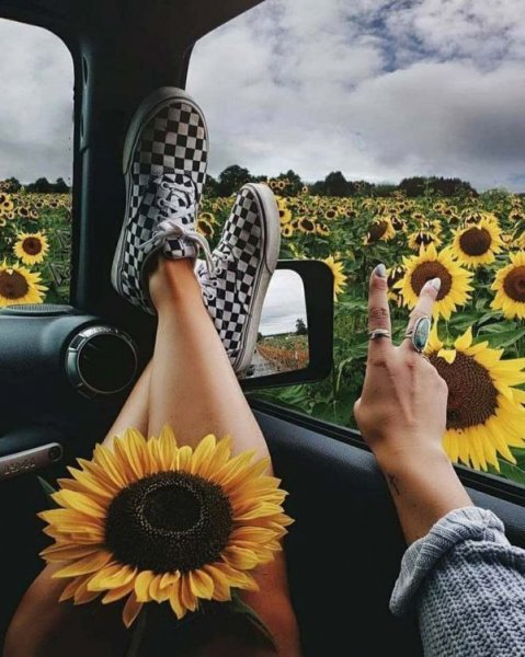 باکلاس عکس دختر با گل برای پروفایل