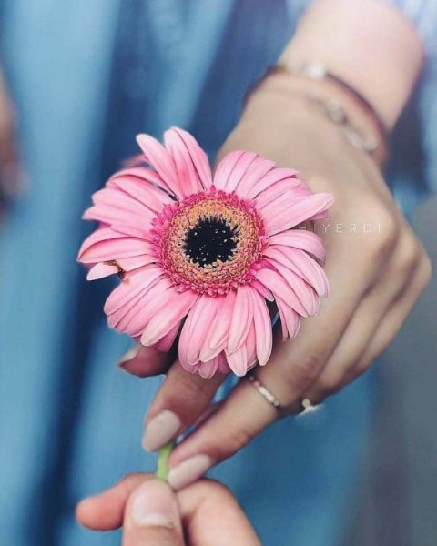  باکلاس عکس دختر با گل برای پروفایل