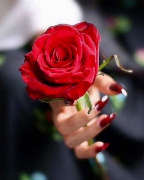  باکلاس عکس دختر با گل برای پروفایل