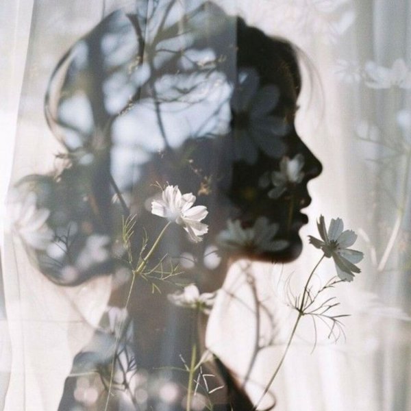 عکس هنری نقاشی