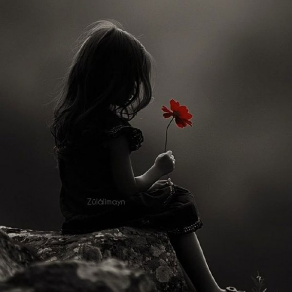 عکس هنری نقاشی