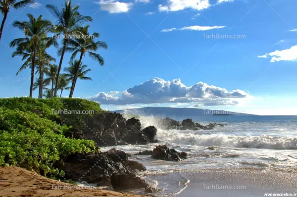  عکس طبیعت بکر دریای زیبا