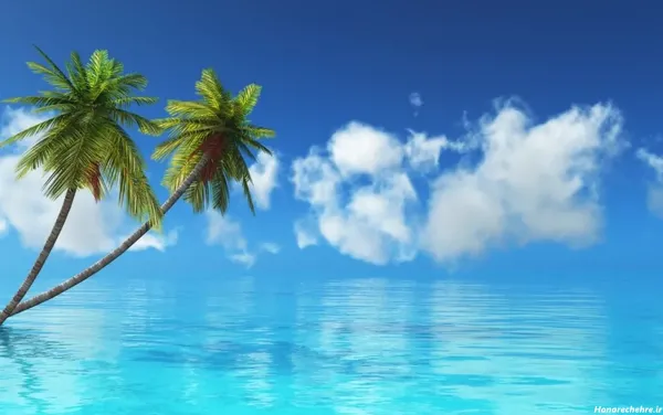  عکس طبیعت بکر دریای زیبا