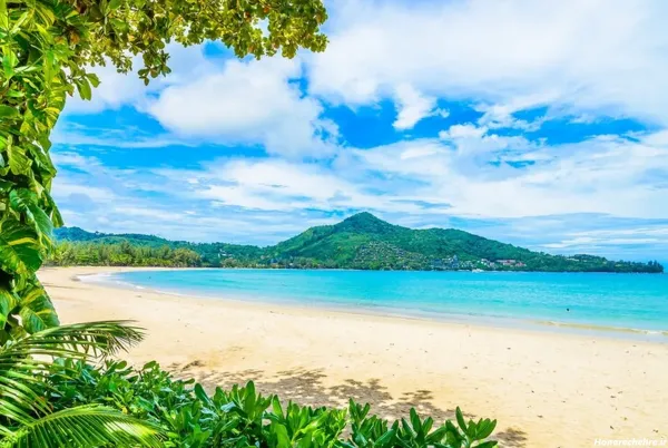  عکس طبیعت بکر دریای زیبا