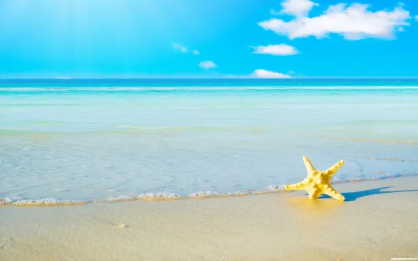  عکس طبیعت بکر دریای زیبا