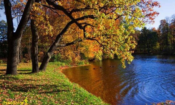 عکس طبیعت بکر پاییزی