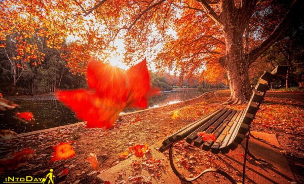  عکس طبیعت بکر پاییزی