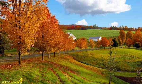  عکس طبیعت بکر پاییزی