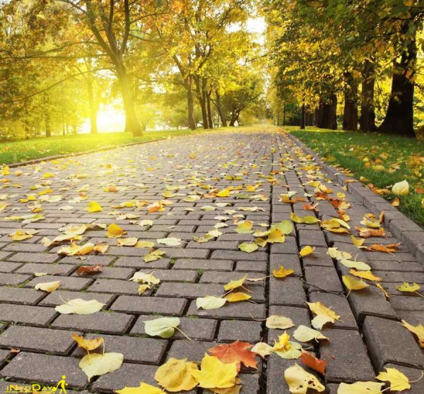  عکس طبیعت بکر پاییزی