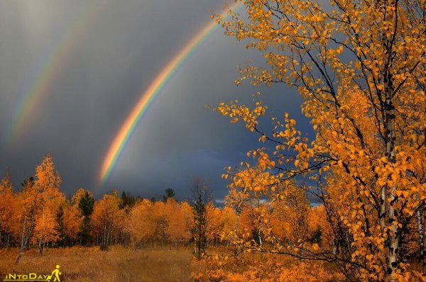  عکس طبیعت بکر پاییزی