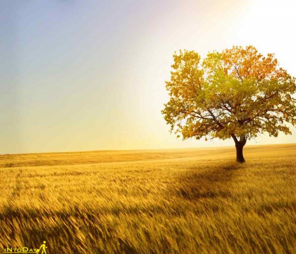  عکس طبیعت بکر پاییزی