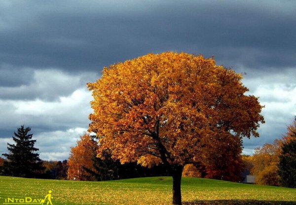  عکس طبیعت بکر پاییزی