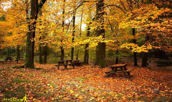  عکس طبیعت بکر پاییزی