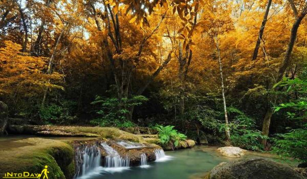  عکس طبیعت بکر پاییزی