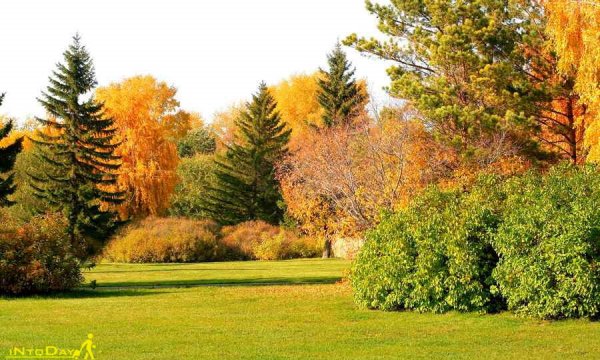  عکس طبیعت بکر پاییزی