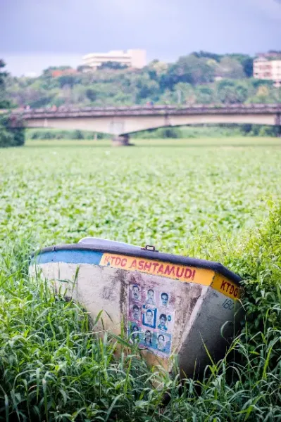  عکس چمن زار