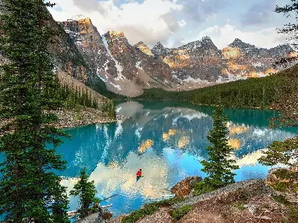  عکس دشت پر از گل