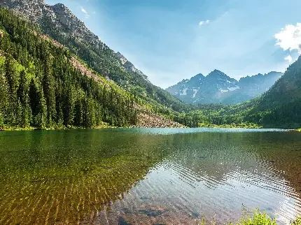  عکس دشت پر از گل