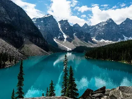  عکس دشت پر از گل