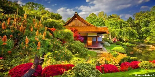  عکس دشت گل برای پروفایل