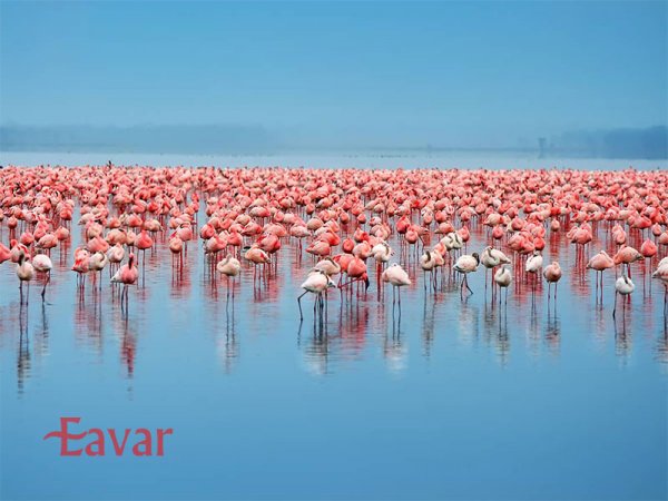  عکس طبیعت بکر و شگفت انگیز