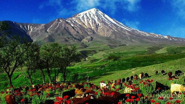  عکس طبیعت بکر کوهستان