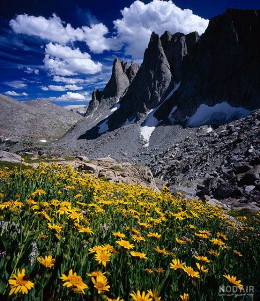  عکس طبیعت بکر کوهستان