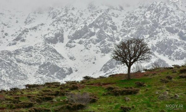  عکس طبیعت بکر کوهستان