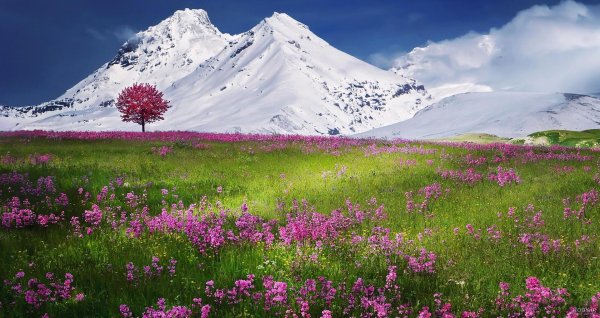  عکس طبیعت بکر کوهستان