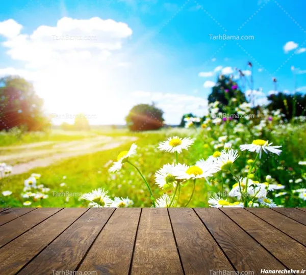  عکس طلوع زیبای خورشید