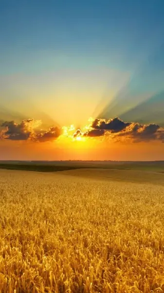  عکس خورشید در آسمان