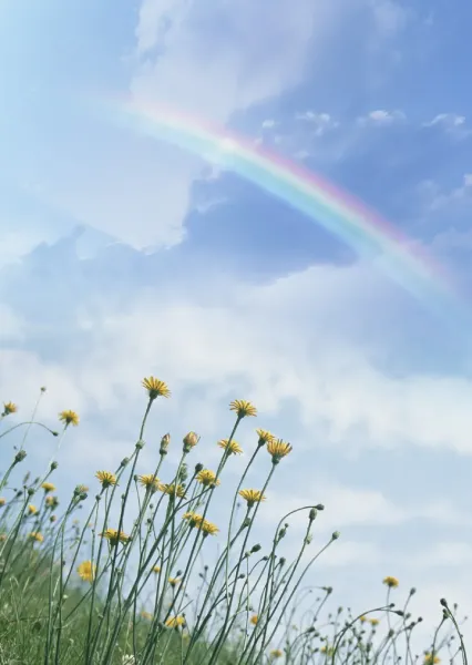  عکس زیبای آسمان از نمای بالا