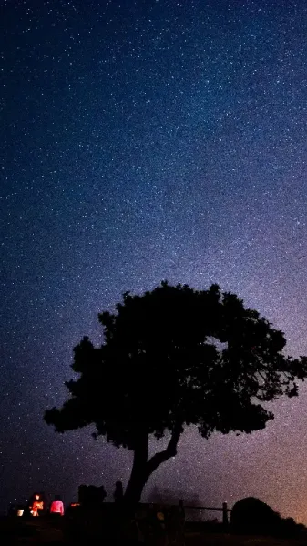  عکس آسمان پرستاره شب