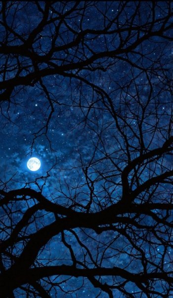  عکس ماه و ستاره