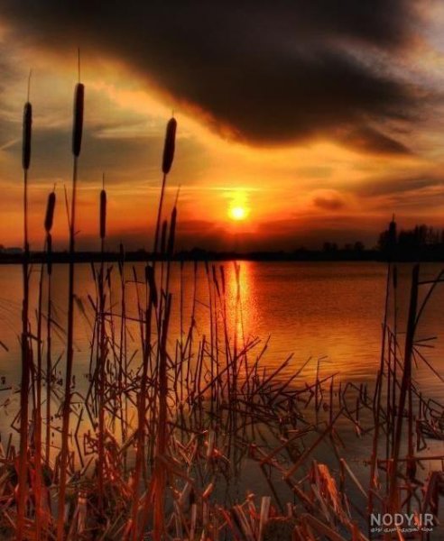 عکس غروب پاییز