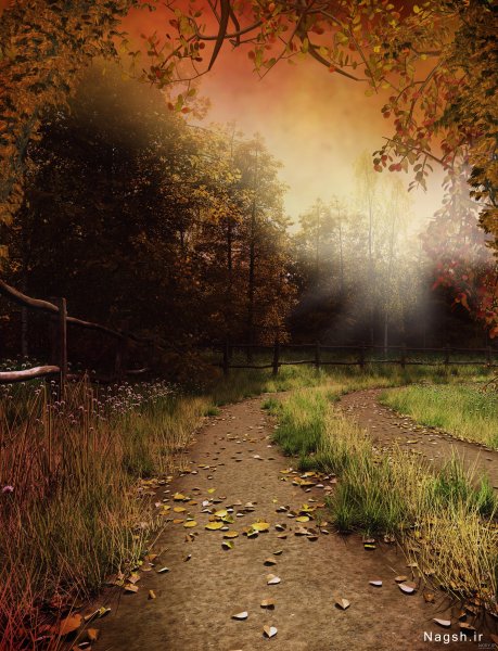  عکس غروب پاییز