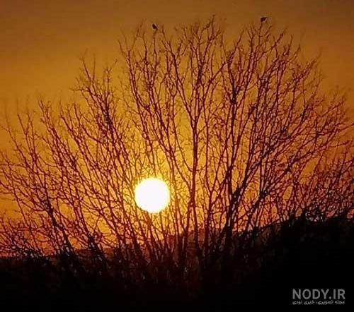  عکس غروب پاییز