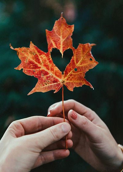  عکس طبیعت پاییزی عاشقانه