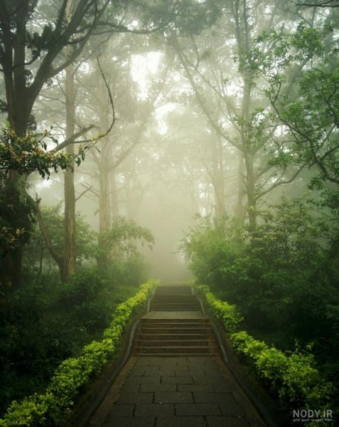  عکس کلبه در جنگل پاییزی