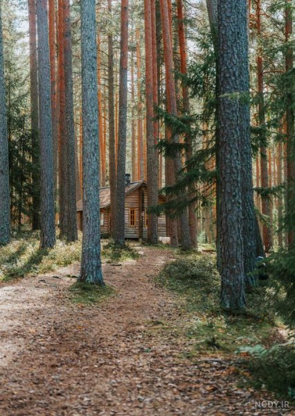  عکس کلبه در جنگل پاییزی