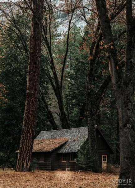  عکس کلبه در جنگل پاییزی