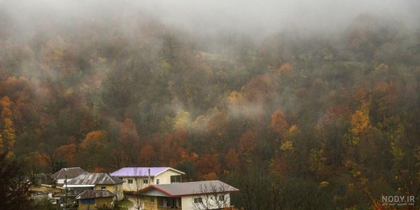  عکس کلبه در جنگل پاییزی