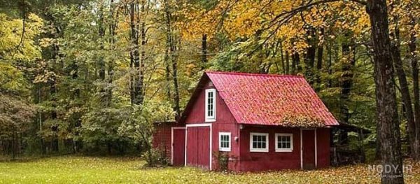  عکس کلبه در جنگل پاییزی