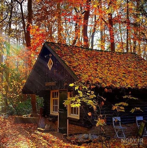  عکس کلبه در جنگل پاییزی